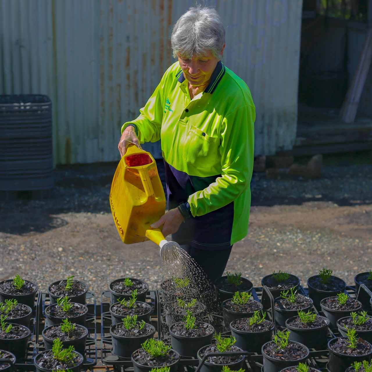 Natural Green Nursery Your Local Horticulturalist